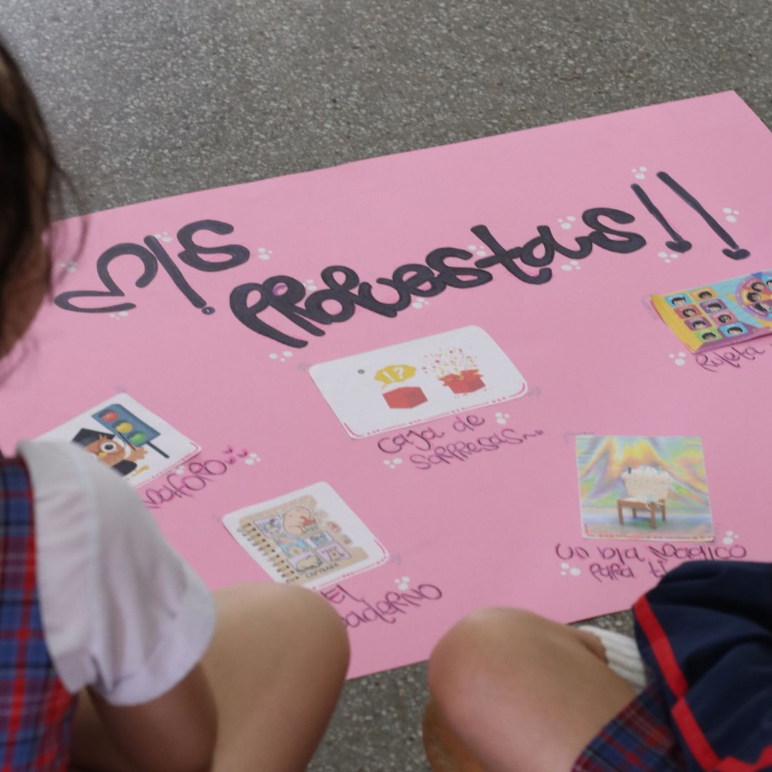 Elección Personal RepresentativoIUSH